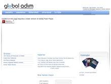 Tablet Screenshot of globaladim.com